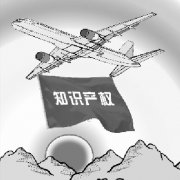 知识产权管理