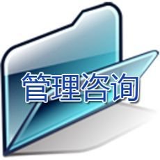 管理咨询项目运作流程与实施步骤